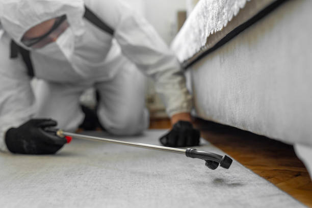 Professional Bed Bug Control technician working in Trail Creek, IN