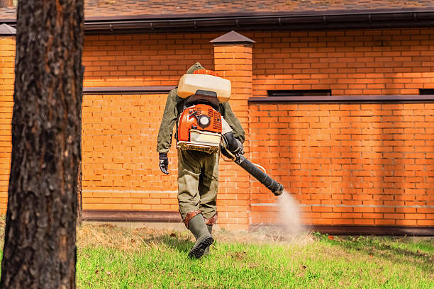 Trusted Emergency Pest Control service in Trail Creek, IN - Nex Pest Control